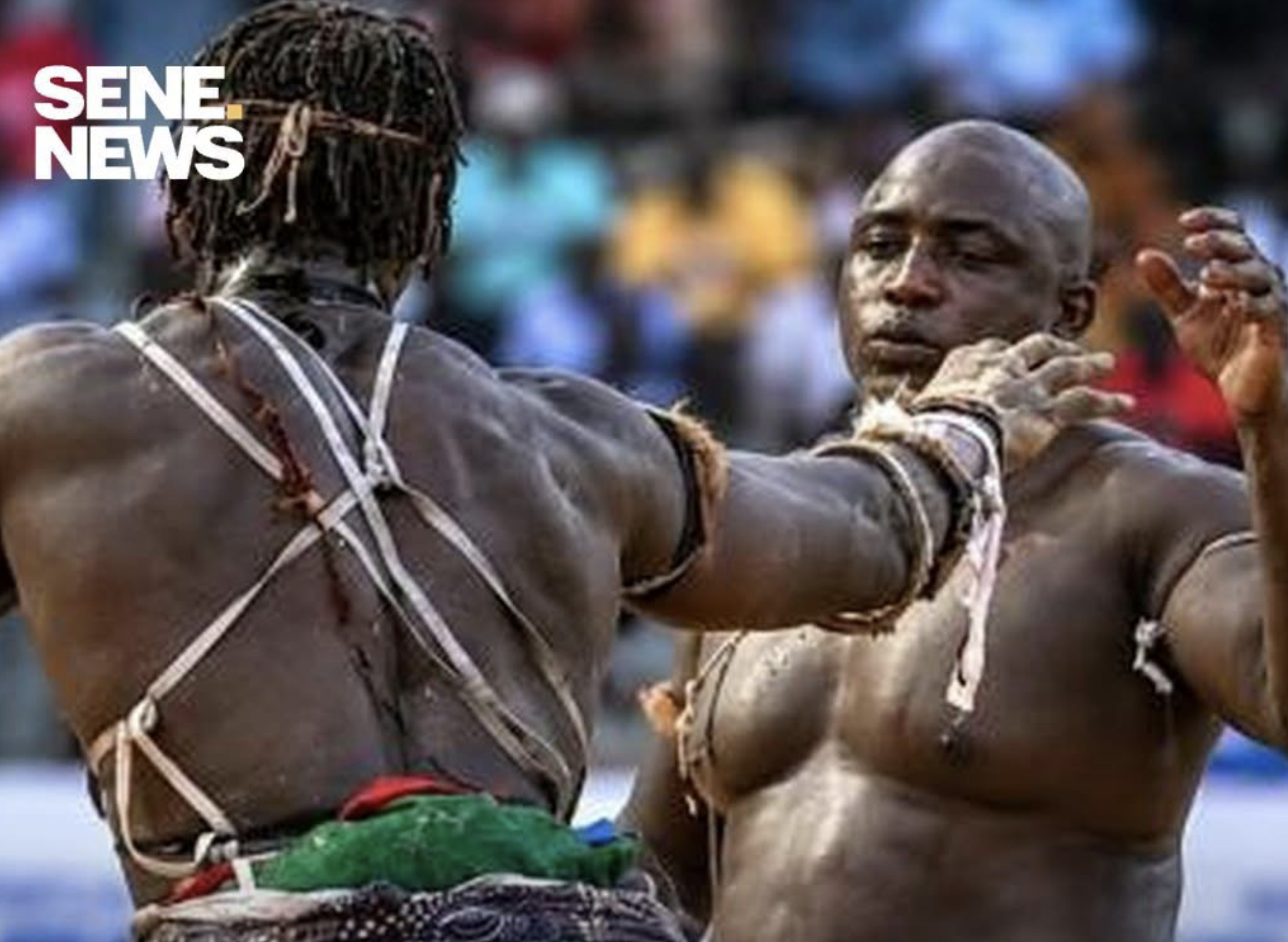 Coups sur Lac 2 : La Fédération Sénégalaise de Lutte sanctionne le lutteur Prince
