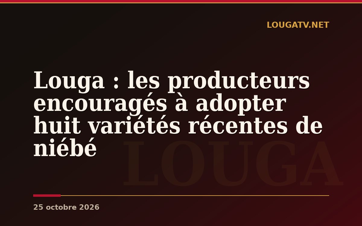 Louga : les producteurs encouragés à adopter huit variétés récentes de niébé
